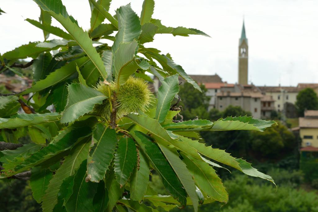 Agriturismo Crodi Miane Екстериор снимка